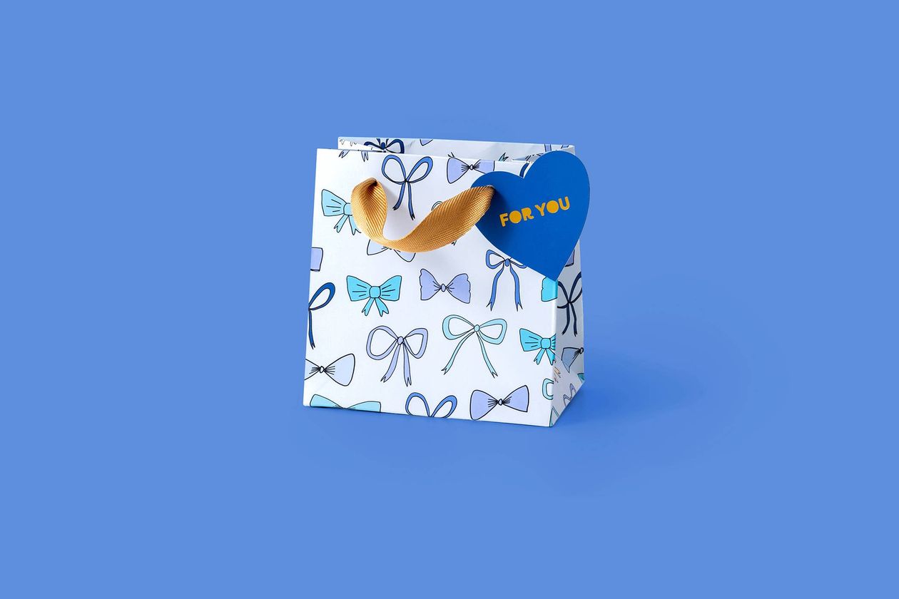 TAYLOR ELLIOTT DESIGNS Gift Bags - Blue Bows - Small