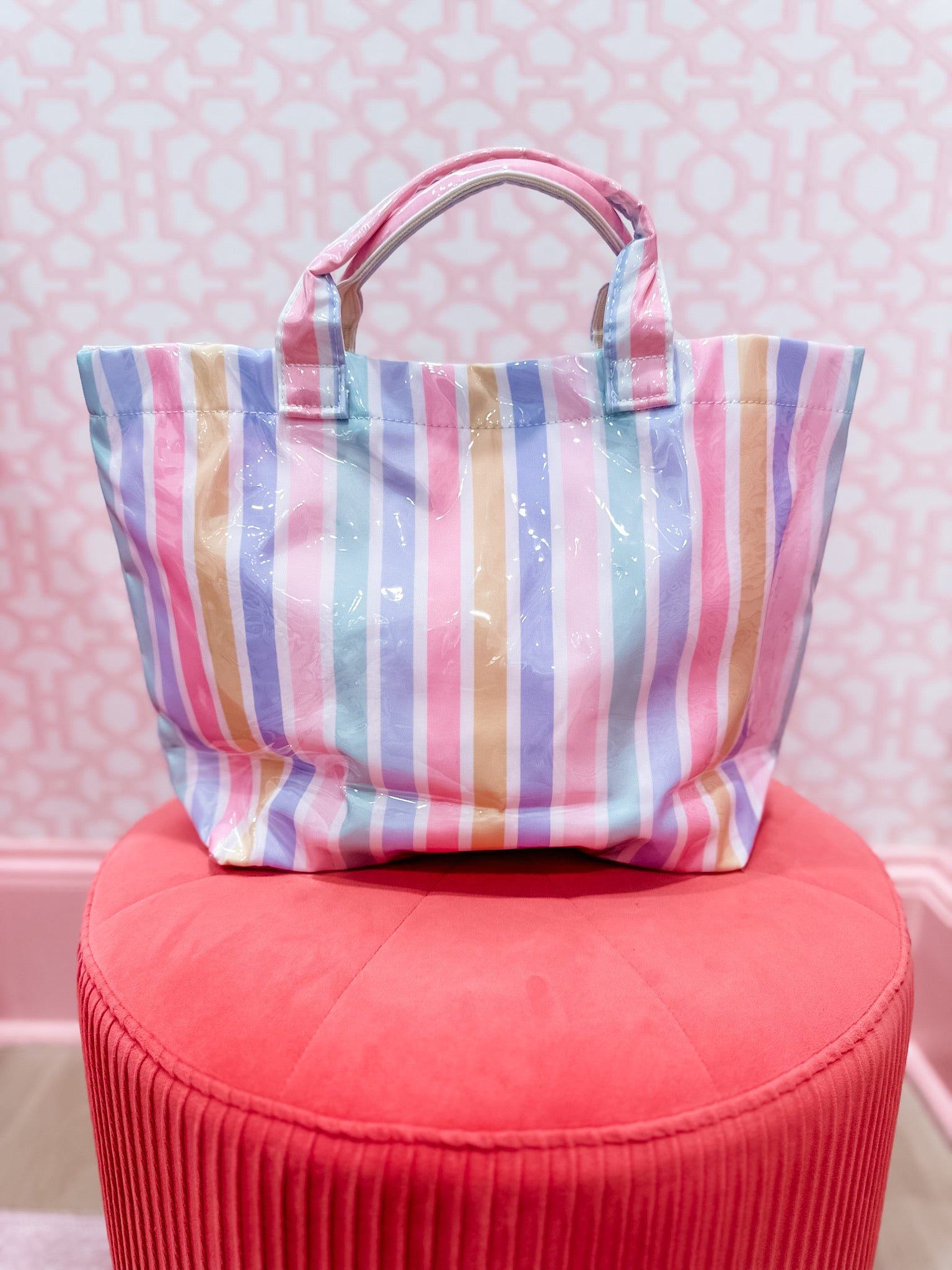 Weekend Wanderer Vinyl Tote- Pastel